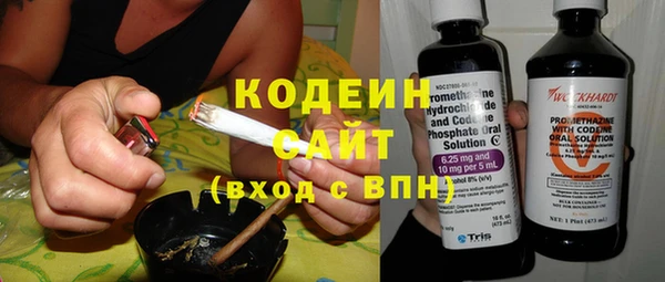 прущий лед Алзамай