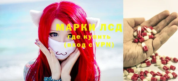 прущий лед Алзамай