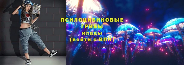эйфоретик Алексин